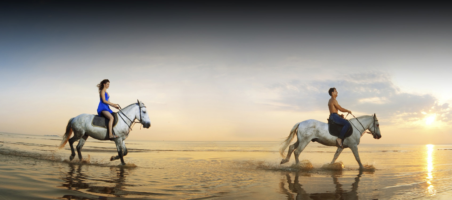 Home Horseback Riding Jamaica